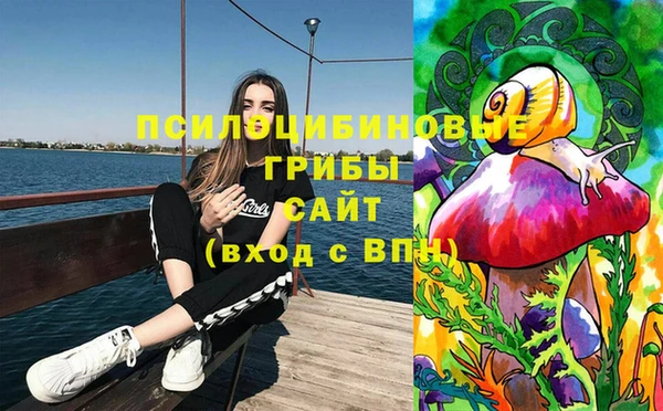 2c-b Белокуриха