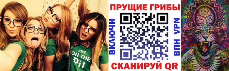 купить  сайты  Салаир  blacksprut как войти  Галлюциногенные грибы ЛСД 
